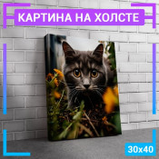40x30 см 