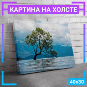 40x30 см 