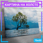 70x50 см +309 руб