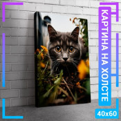 60x40 см +206 руб