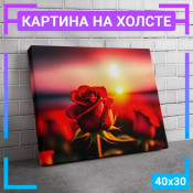 40x30 см 