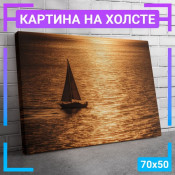 70x50 см +309 руб
