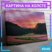 60x40 см +206 руб