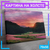 70x50 см +309 руб