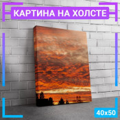 50x40 см +103 руб