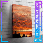 60x40 см +206 руб