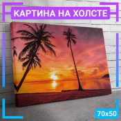 70x50 см +309 руб