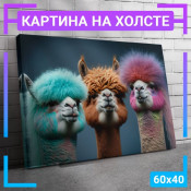 60x40 см +206 руб