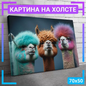 70x50 см +309 руб