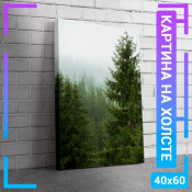 60x40 см +206 руб