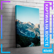60x40 см +206 руб