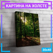 40x30 см 