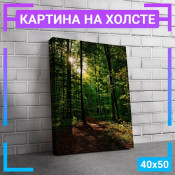 50x40 см +103 руб