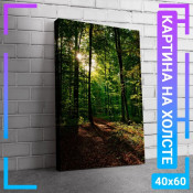 60x40 см +206 руб